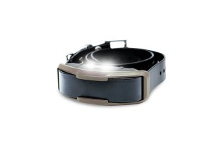 Дополнительный ресивер Dogtra 1200X