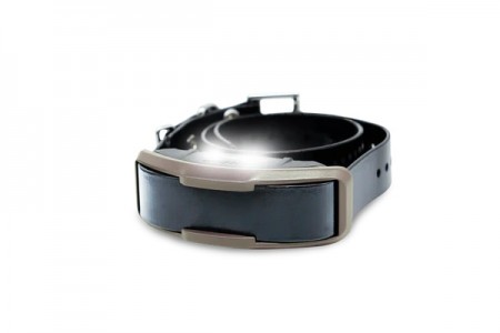 Дополнительный ресивер Dogtra 1200X