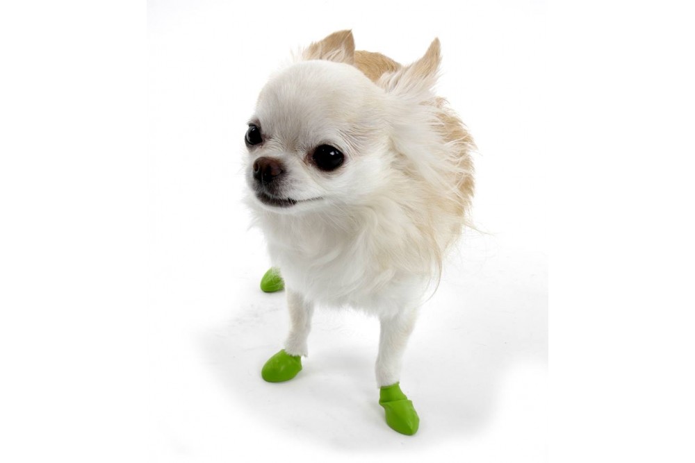 Купить обувь для собак Лапушки PawZ.Обувь для собак из биологически  натурального каучука в Москве | Гарантия!