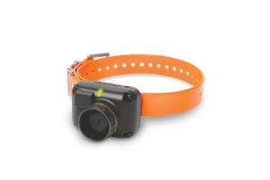 Дополнительный ресивер Dogtra 2600 T&B / 2602 T&B