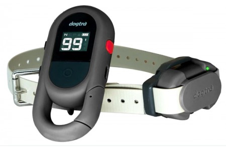 Электронный ошейник Dogtra IQ FLEX