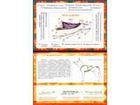 Книга Дрейф на льдине | Бушина Наталья Книга Дрейф на льдине | Бушина Наталья