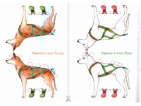 Книга Дрейф на льдине | Бушина Наталья Книга Дрейф на льдине | Бушина Наталья